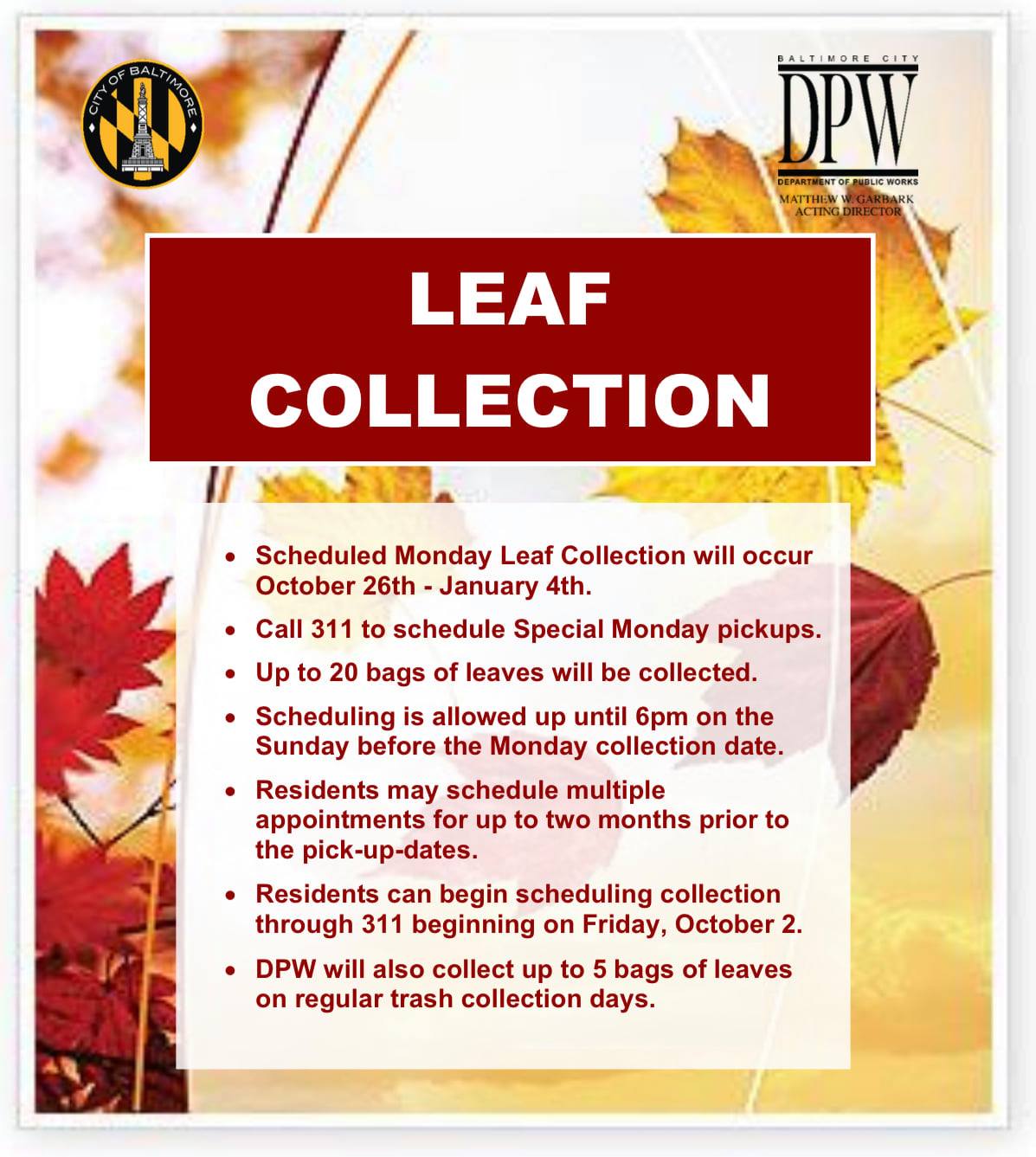 Leaf Collection season flyer 
